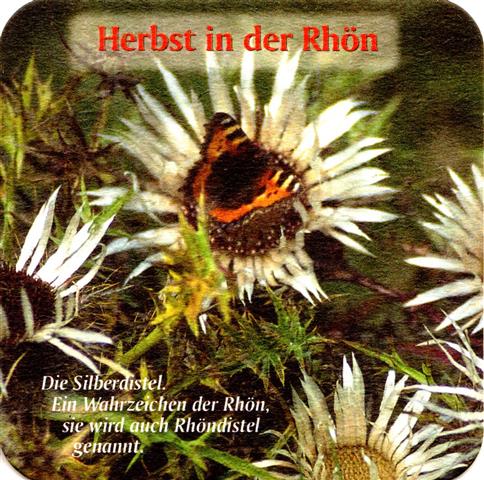 hausen nes-by rother jahres 2b (quad180-herbst in der rhn) 